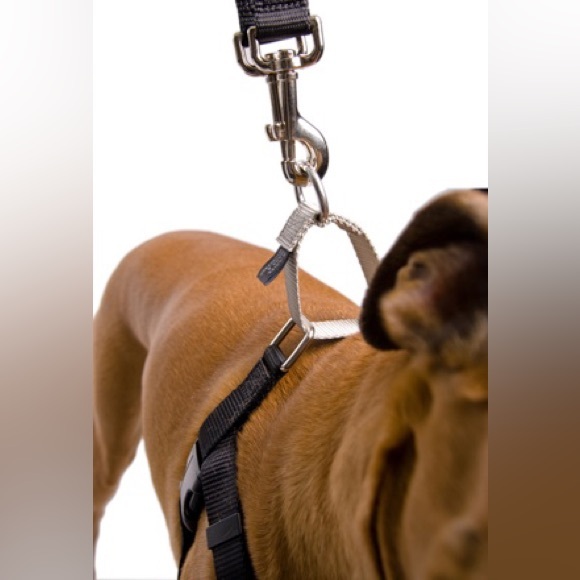 Brown Freedom No-Pull Dog Harness - Size Medium - Picture 11 of 12